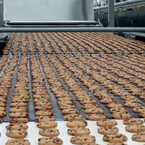 Biscuit-lines9 Biscuit-lines9